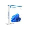 Buy Windows 11 Professional Retail Licence