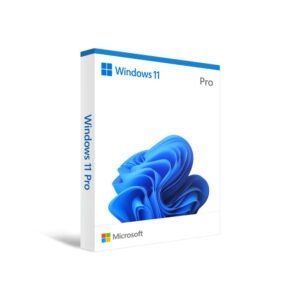 Buy Windows 11 Professional Retail License Product Key