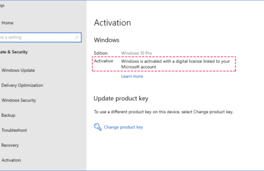 activate-windows-10-with-a-digital-license